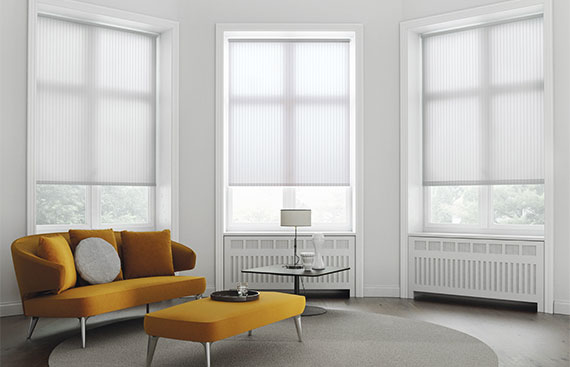 Blinds in clearance the range