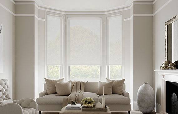 Envision Voile Roller Shades