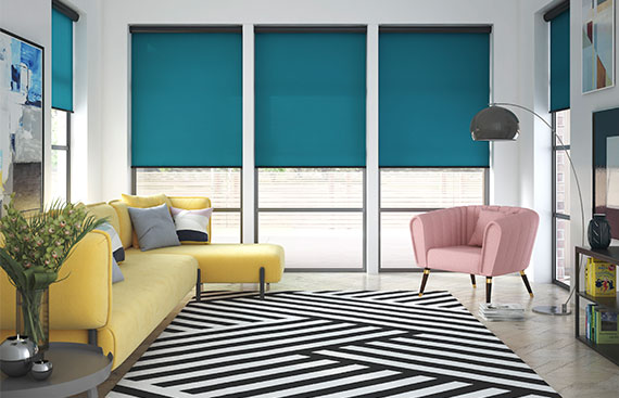 Envision Roller Shades