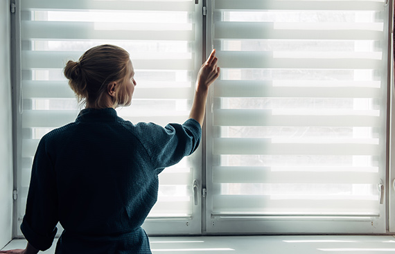 What are Day & Night Blinds?