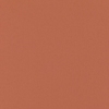 Polaris Rust Blockout with Cassette sample image