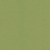 Carnival Kiwi Dimout sample image