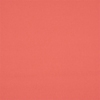 Electric Polaris Coral Red Blockout sample image