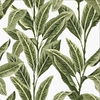 Tropical Palm Aloha sample image