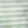 8081 Tupelo sample image
