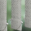 9119 Chartago sample image