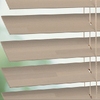 8334 Robust sample image