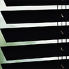 8348 Shine sample image