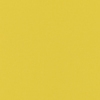 PF Polaris Chartreuse Blockout sample image