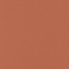 PF Polaris Rust Dimout sample image