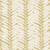 Acacia Caraway sample image