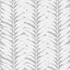Acacia Limestone sample image