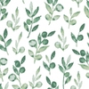 Olive Eden sample image