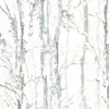 Swedish Birch Silver sample image