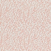 Athena Coral with Cassette sample image