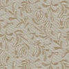 Livia asc Coffee sample image