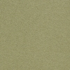 Cicely Sage sample image