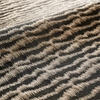 Nomad Fossil sample image
