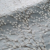Catkin Mineral sample image
