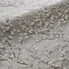 Catkin Shine sample image