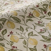 Lemon Grove Dawn sample image