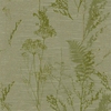 Sakura Keshiki Eucalyptus sample image