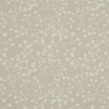 Kyoto Almond sample image