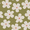 Daisy Khaki - <p>Add a pop of pattern with the Daisy Khaki Blackout Roller Blind. The soft khaki backdrop paired with delicate cream and peach daisies creates a cosy, relaxed feel without being too busy. It&rsquo;s designed to keep rooms darker by blocking light and UV rays, helping with rest and comfort. The fabric is treated to stay fresher for longer, while the made-to-measure fit makes it a practical choice for everyday family spaces.</p>
