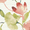 GripFit Emelina Paprika Dimout - Transform your space with the effortless elegance of the GripFit Emelina Paprika Dimout Roller Blind! Featuring warm paprika hues complemented by subtle red and green accents, it infuses any room with vibrancy and charm. The dimout fabric gently filters light, creating a tranquil ambience while preserving your privacy. Designed for durability, its moisture-resistant material ensures long-lasting performance. Thanks to an innovative bracket system that secures to your recess, installation is completely drill-free and stress-free. Finished with a modern GripFit cassette, this blind combines style and practicality for any setting.