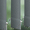 1331 Elements - 