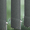 2505 Status - 