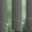 2512 Status Flex - 