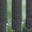 4027 Panama Pro 5 - 