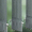 5309 Polyscreen 10 - 