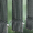 5310 Polyscreen 10 - 