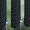 6667 Unico - 