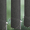 6676 Dense - 