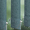 9129 GreenScreen SeaTex NXT - 