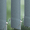 9134 Elements - 