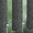 9164 Riff - 
