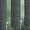 9187 Sedna - 