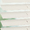 8312 Shine - 