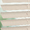 8321 Drift - 