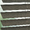 8339 Drift - 