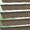 8342 Grain - 