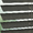 8343 Drift - 