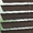 8357 Robust - 