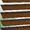 8361 Native - 