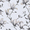 Magnolia Inky - <p>The Louvolite Magnolia Inky Blackout Blind will be the perfect addition to your home. Its classic floral pattern in grey hues offers a timeless appeal, with blackout capabilities to reduce light intrusion and maintain privacy in any room. This custom-made blind is designed to provide superior insulation against cold and hot temperatures of all seasons while blocking 100% of UV rays. So you can enjoy a serene atmosphere that blocks out unwanted light whilst saving on energy bills.</p>
