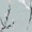 Willow Morning Mist - <p>The ultimate light-blocking and privacy solution for your windows. Custom-made to your exact specifications, the Willow Morning Mist Blackout Blind ensures a perfect fit for your space. Its flame-retardant fabric showcases a classic, elegant multicolour floral pattern on a sky-blue background, enhancing any home decor. But it's not just about style &ndash; this Louvolite Blind also offers energy-saving benefits and 100% protection against harmful UV rays, keeping your home furnishings safe and preserved.</p>

